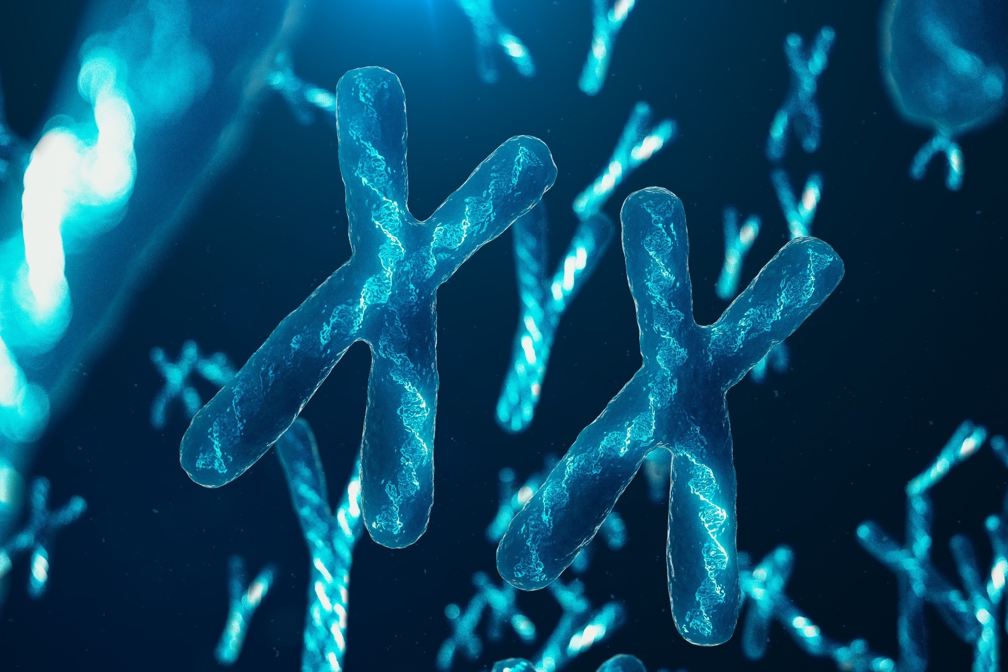 Review: The conneXion between sex and immune responses.