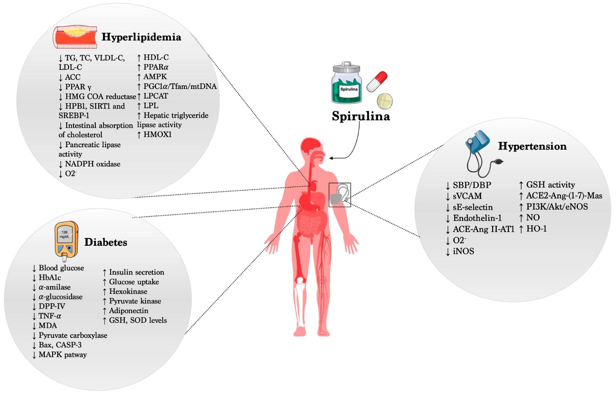 Beneficial effects of Spirulina in CVDs.