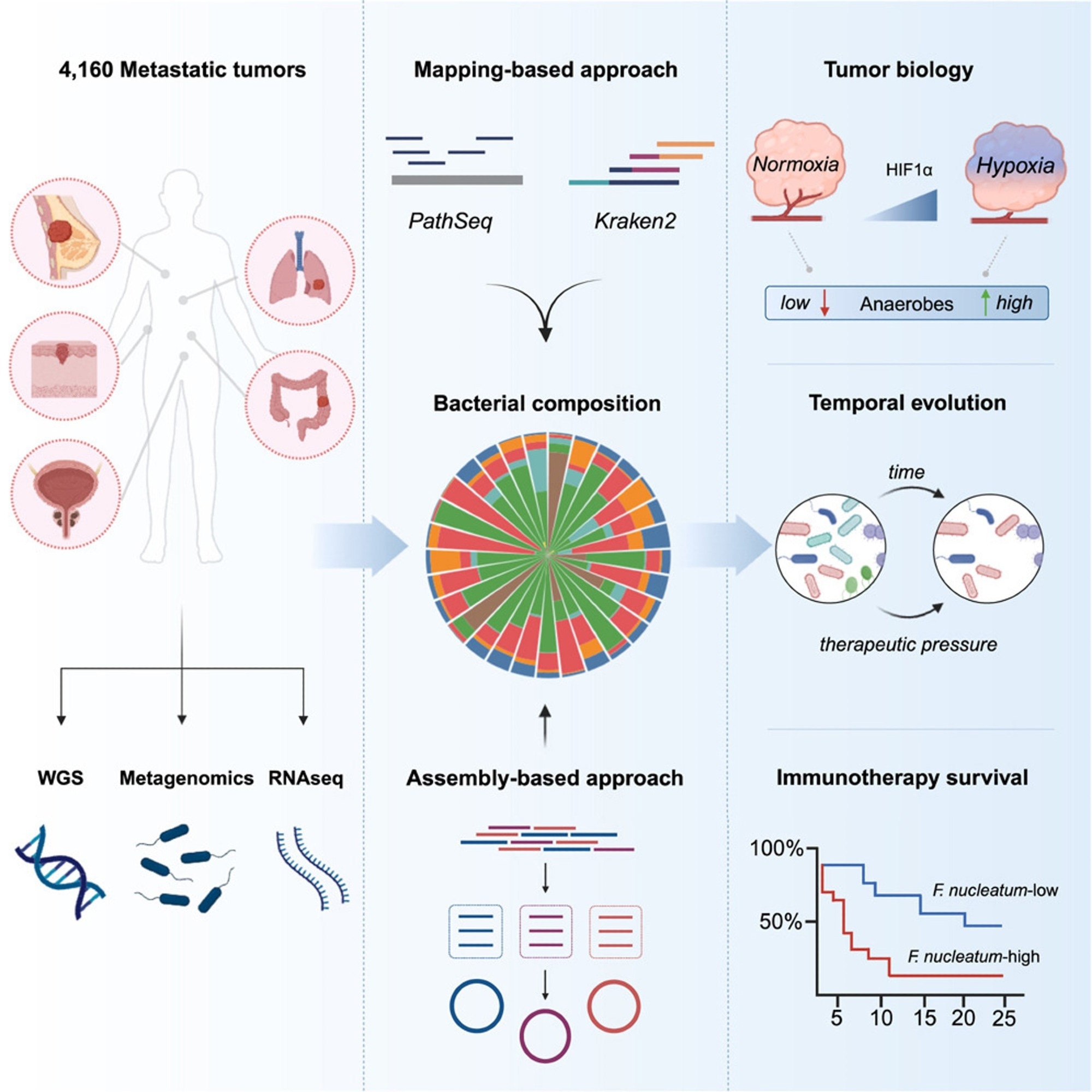 Study: A pan-cancer analysis of the microbiome in metastatic cancer