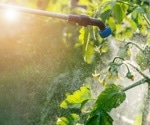 Study links agricultural pesticide exposure to increased genetic variants in Parkinson’s disease