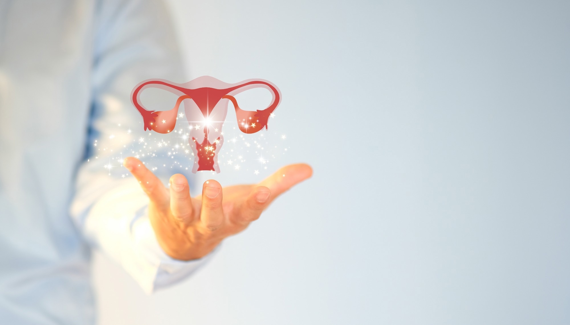 Study: Reversible Mechanical Contraception and Endometriosis Treatment Using Stimuli-Responsive Hydrogels. Image Credit: Ws Studio1985/Shutterstock.com