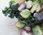 Cruciferous vegetables like broccoli reduce blood pressure compared to root and squash vegetables