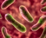 New study links gut bacteria to thiamine's role in reducing fatigue in IBD patients