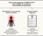 How viral persistence and immune dysfunction drive long COVID