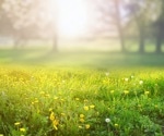 Green spaces reduce the deadly impact of air pollution on people with type 2 diabetes
