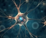 New insights into early Huntington's disease mechanisms
