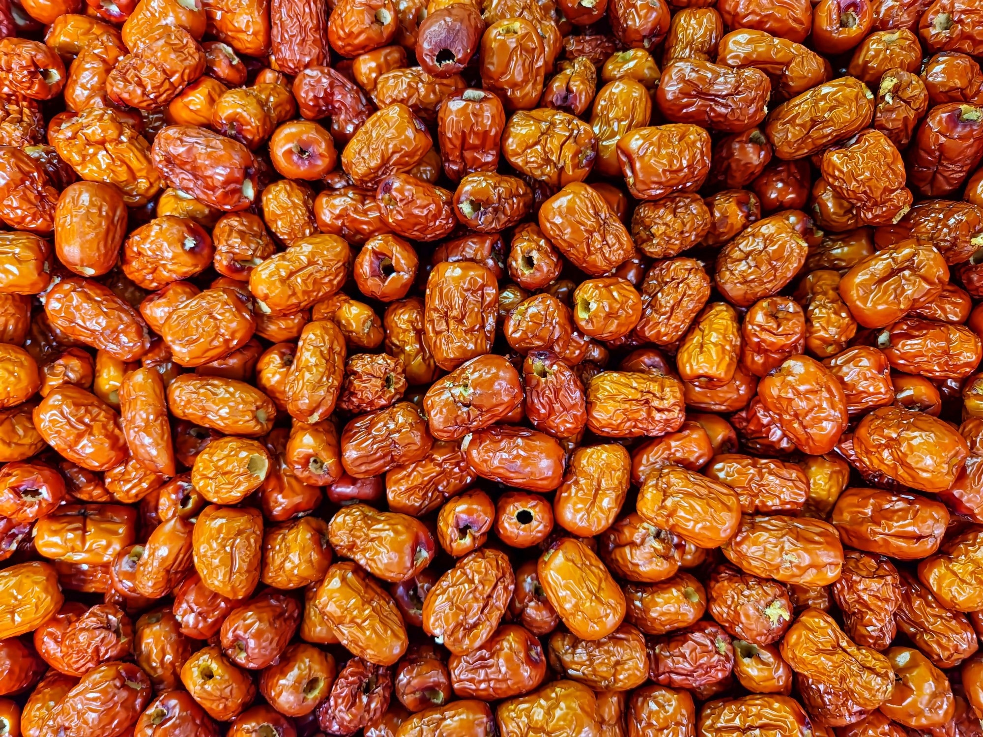 Study: Simply crushed Zizyphi spinosi semen prevents neurodegenerative diseases and reverses age-related cognitive decline in mice. Image Credit: Leiter1940s/Shutterstock.com