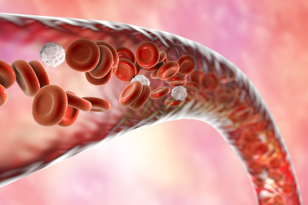 Study: CDK6-mediated endothelial cell cycle acceleration drives arteriovenous malformations in hereditary hemorrhagic telangiectasia. Image Credit: Kateryna Kon/Shutterstock.com