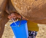 Comparing camel, cow, and goat milk: Which is best for diabetes and heart health?