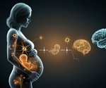 From womb to midlife: Prenatal immune disruptions reshape memory and cognitive aging