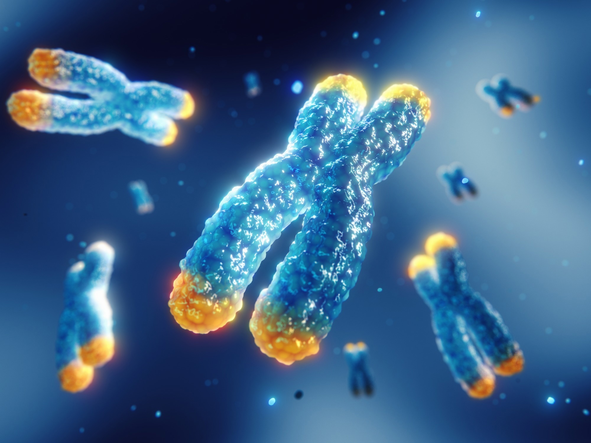 Study: X‐chromosome-wide association study for Alzheimer’s disease. Image Credit: nobeastsofierce / Shutterstock