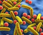 Gut microbes and plant foods: a powerful duo for healthy aging