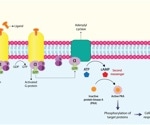 Advancing GPCR drug discovery with fragment screening using GCI technology