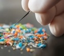 Microplastics may accumulate in the brain at higher levels than in the kidney or liver