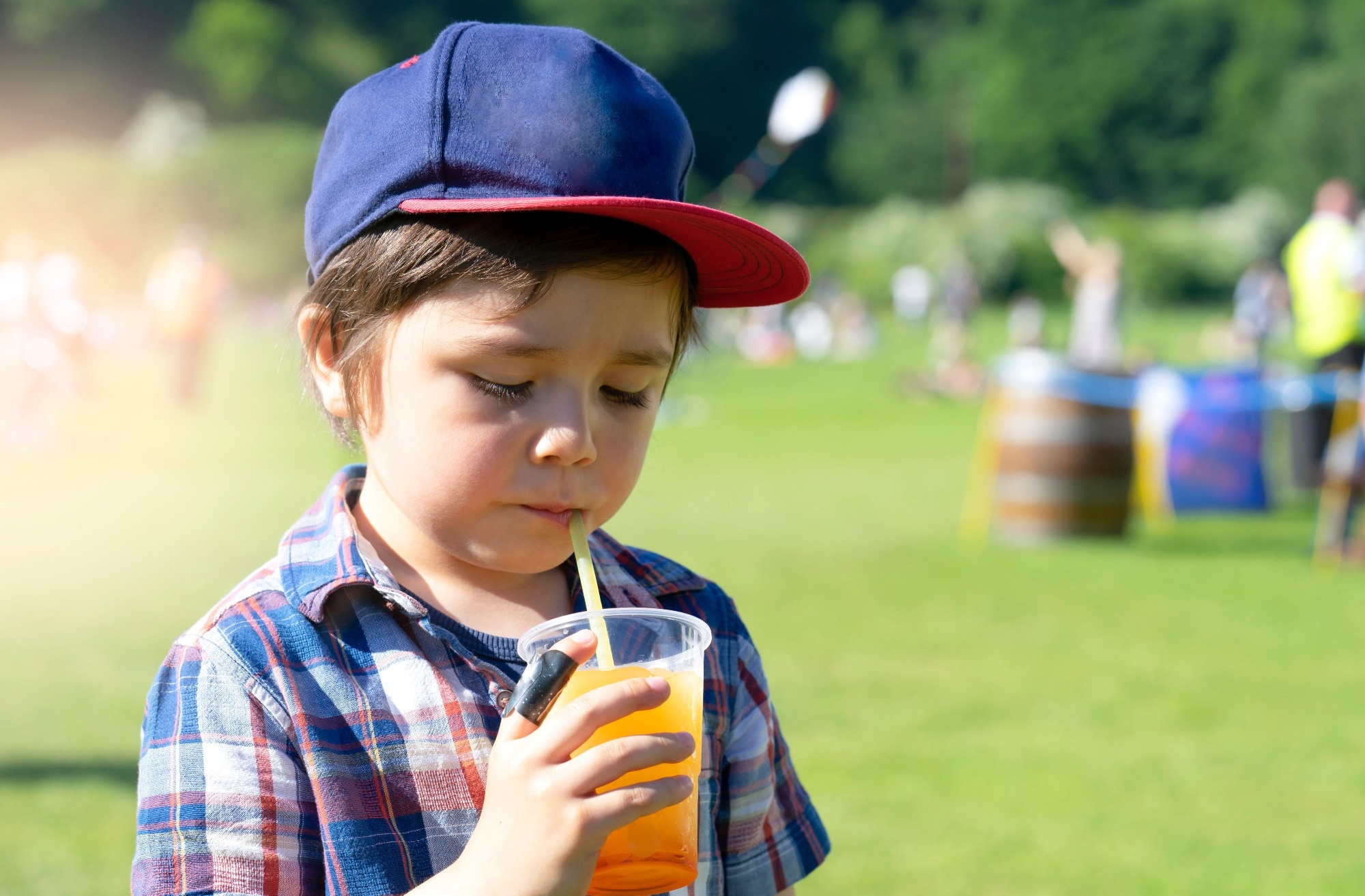 Study: Fructose Intake and Unhealthy Eating Habits Are Associated with MASLD in Pediatric Obesity: A Cross-Sectional Pilot Study. Image Credit: Ann in the UK / Shutterstock