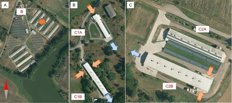 Infected Premises. Layout of affected houses on farms B (A), C1 (B), and C2 (C). On C1 and C2, tunnel ventilation system airflow is indicated with orange arrows for inflow and  blue arrows for outflow.