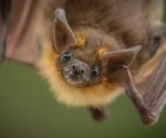 Discovery of new bat flu strain with potential to infect other species