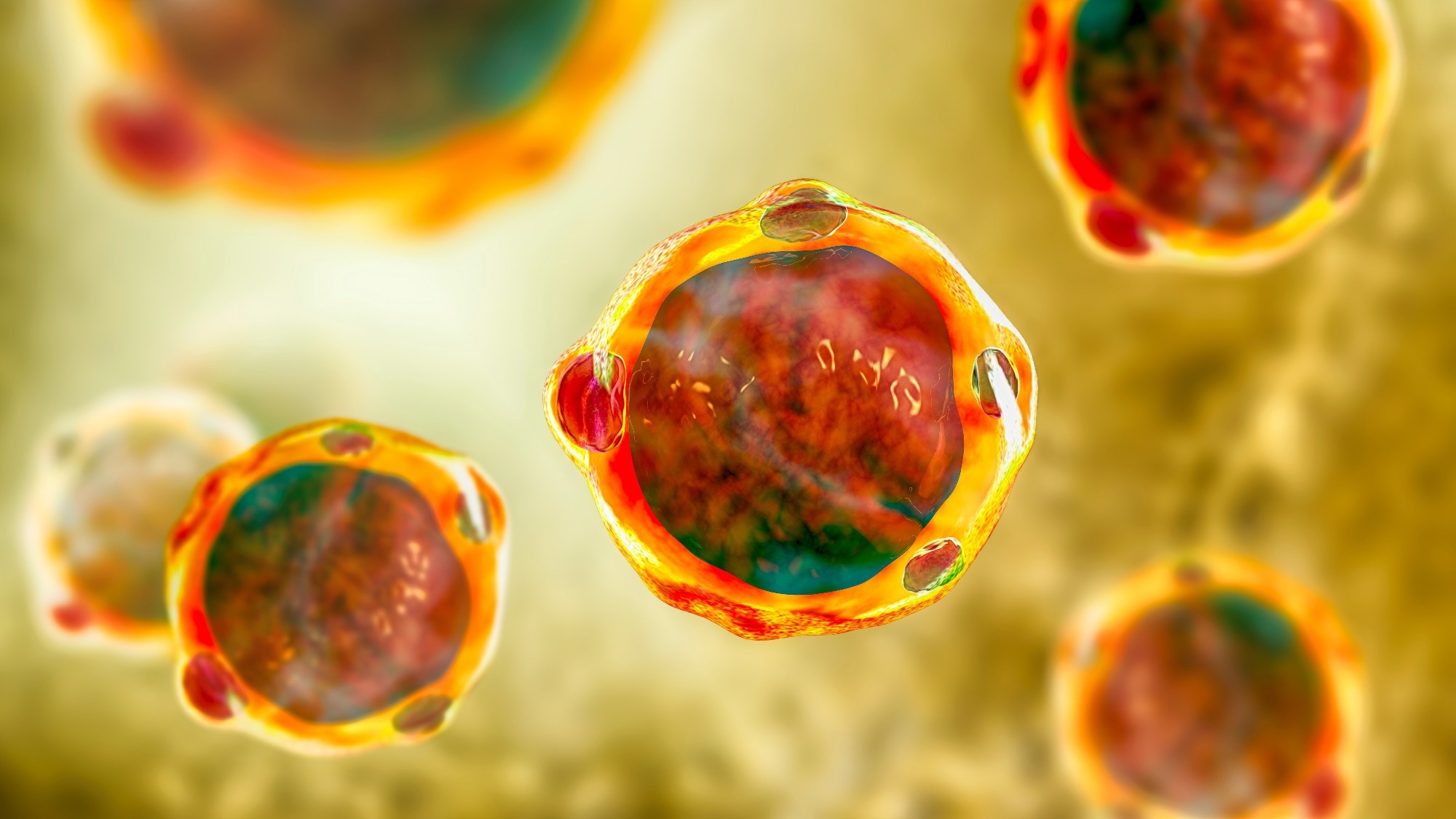 Study: Edible plants as significant sources of Blastocystis spp. infections: A systematic review and meta-analysis. Image Credit: Kateryna Kon / Shutterstock