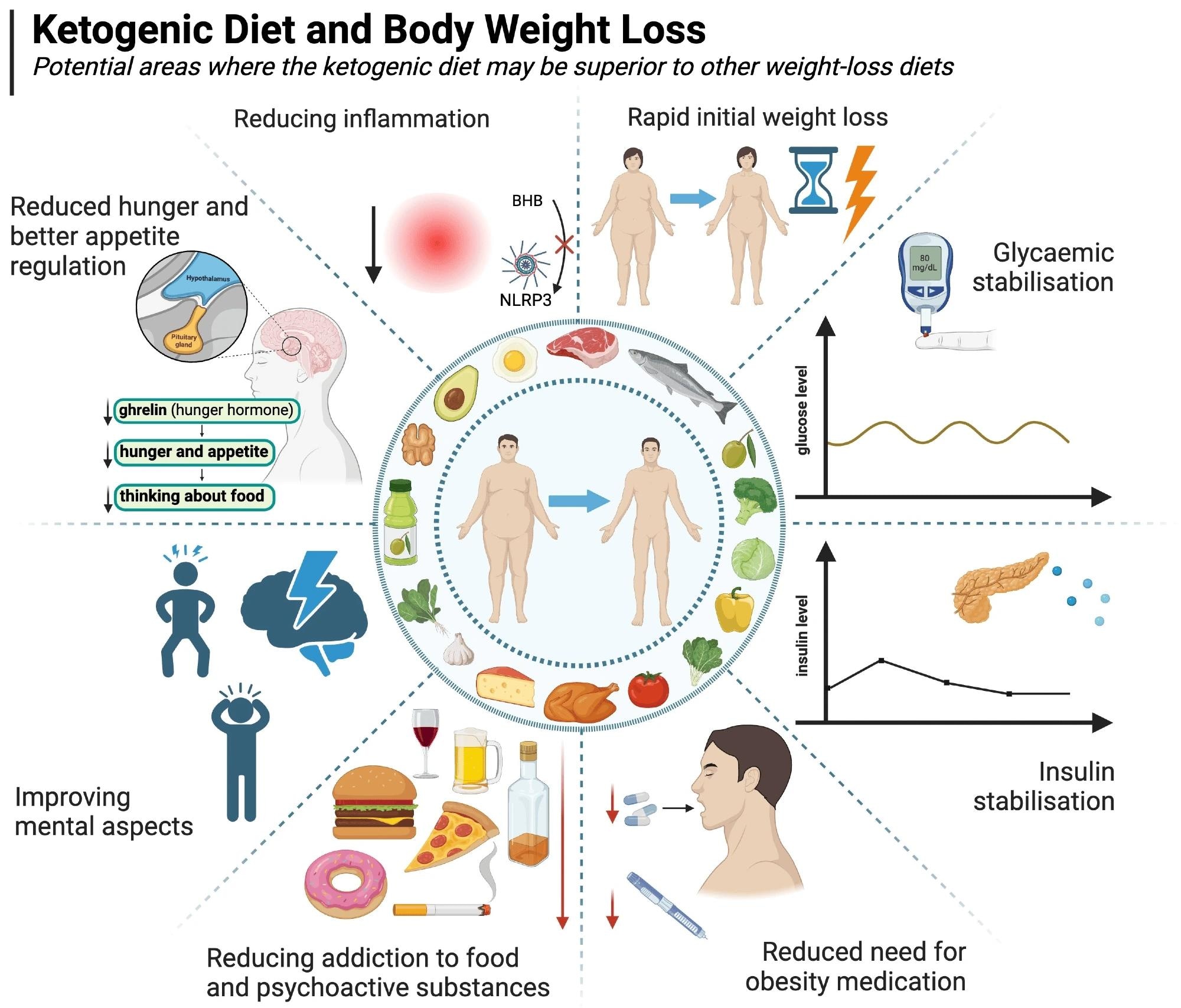Review: Ketogenic Diets for Body Weight Loss: A Comparison with Other Diets