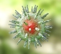 Scientists reveal how Epstein-Barr virus reactivation triggers MIS-C in children