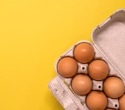 Baked eggs in infancy may lower lifelong egg allergy risk