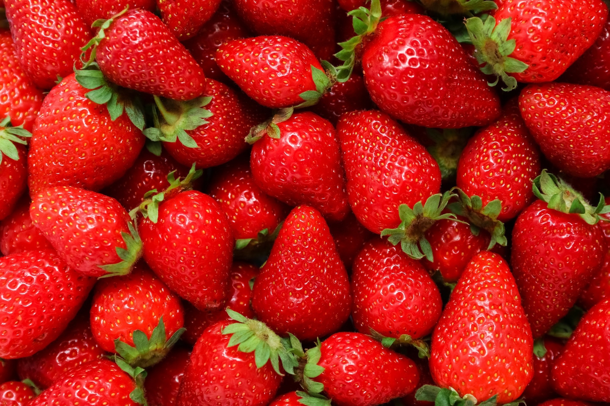 Study: Strawberries modestly improve cognition and cardiovascular health in older adults. Image Credit: Pixel-Shot / Shutterstock