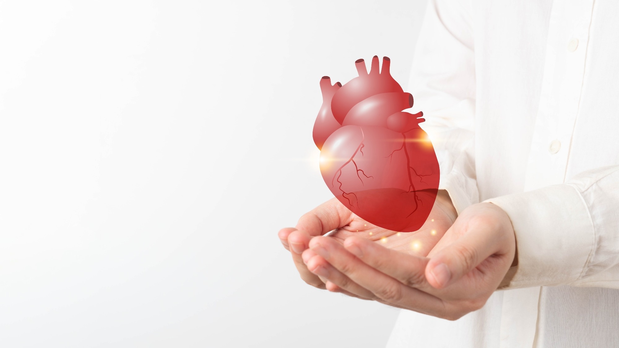 Study: Global Effect of Cardiovascular Risk Factors on Lifetime Estimates. Image Credit: Orawan Pattarawimonchai / Shutterstock