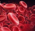 How blood iron levels shape the pace of biological aging