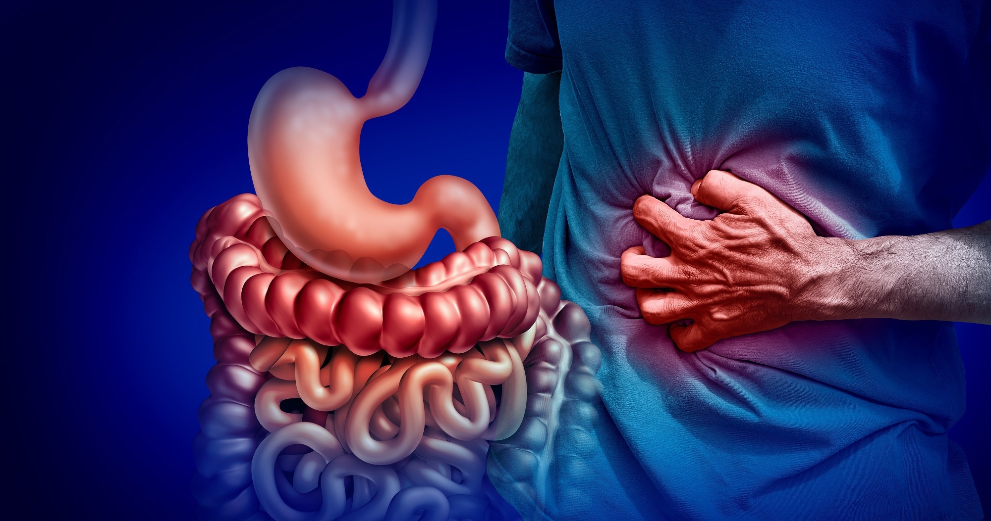 Study: The effect of low-FODMAP diet on patients with irritable bowel syndrome. Image Credit: Lightspring / Shutterstock
