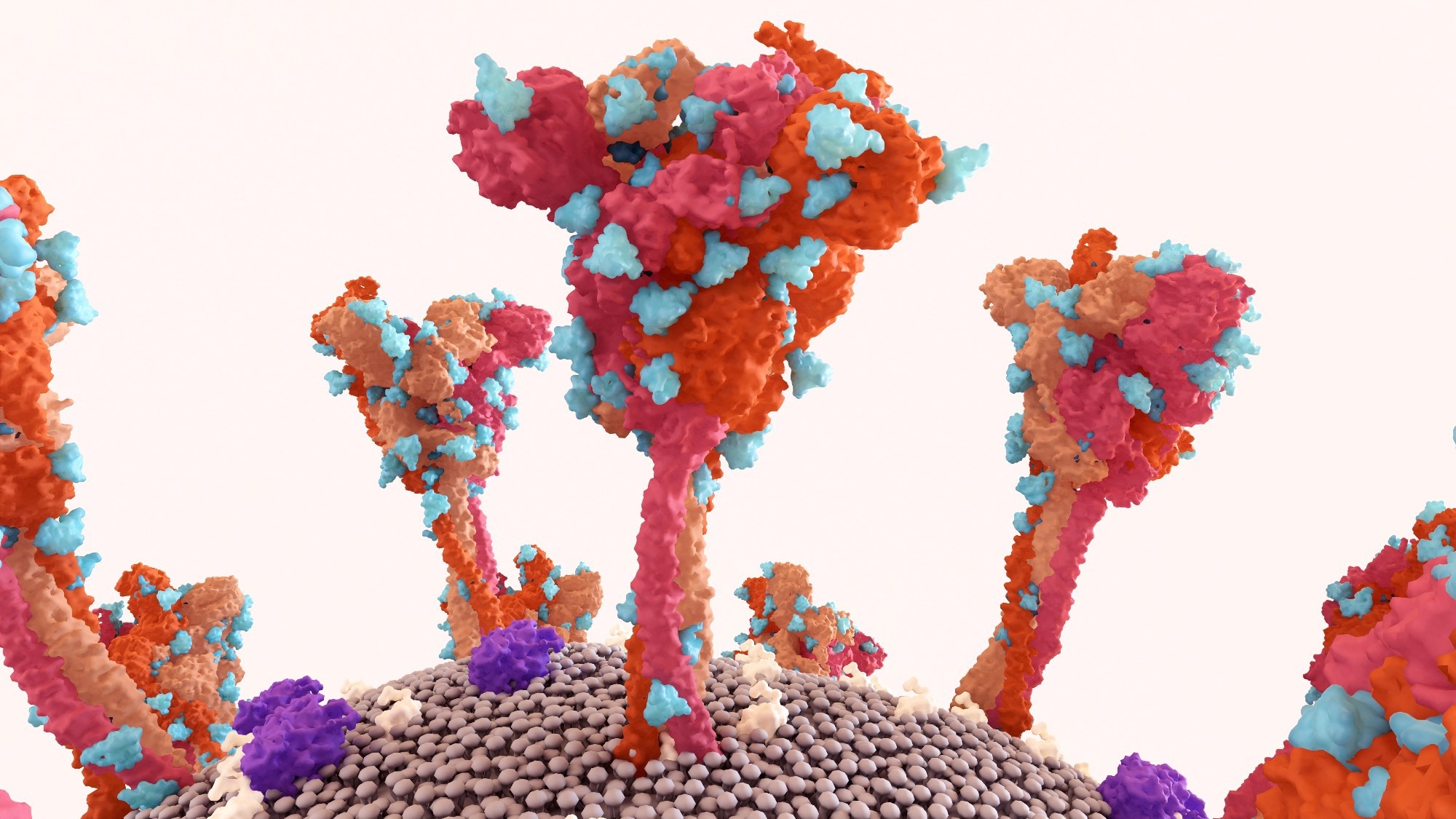 Study: Electromagnetic waves destabilize the SARS-CoV-2 Spike protein and reduce SARS-CoV-2 Virus-Like particle (SC2-VLP) infectivity. ​​​​​​​Image Credit: Design_Cells / Shutterstock