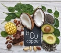Can dietary copper help protect against dementia and memory loss?