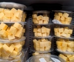 Cheese and milk in Italy show alarming levels of microplastic contamination