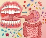 Mouth and gut microbes talk to each other - here’s why it matters for disease