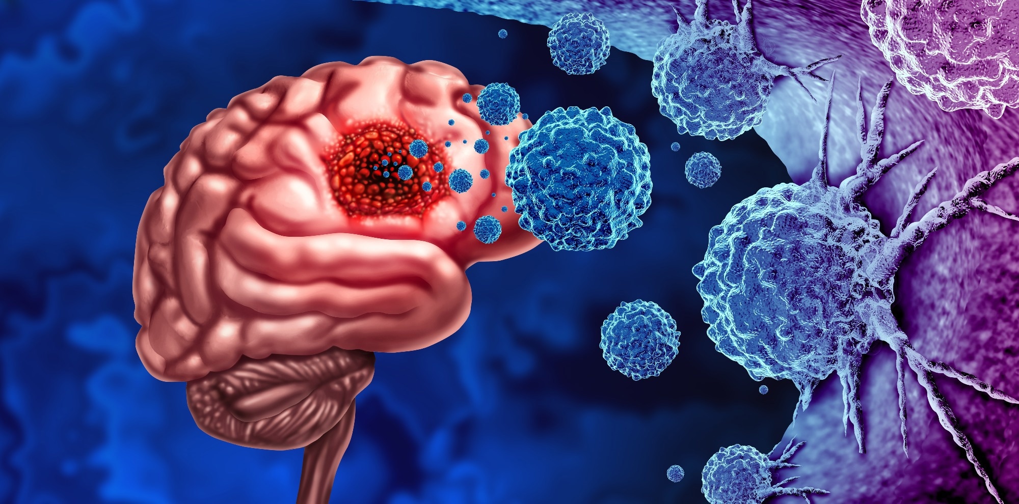 Review: Polyphenol-Based Nutritional Strategies Combined With Exercise for Brain Function and Glioma Control: Focus on Epigenetic Modifications, Cognitive Function, Learning and Memory Processes. Image Credit: Lightspring / Shutterstock