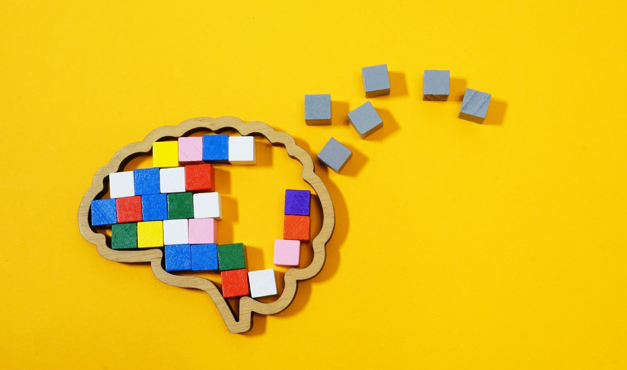 Survey: What are memories made of? A survey of neuroscientists on the structural basis of long-term memory. Image Credit: Vitalii Vodolazskyi  / Shutterstock