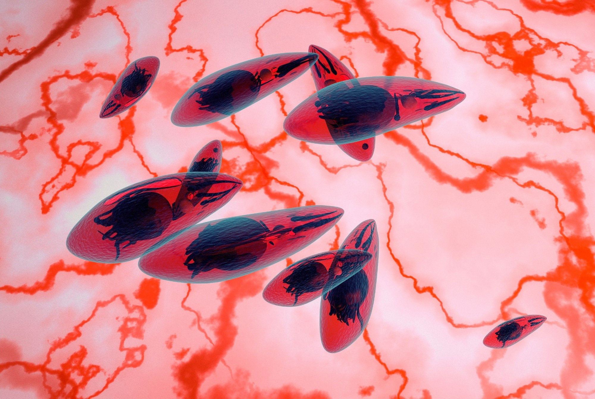 Review: Systematic review and modelling of Toxoplasma gondii seroprevalence in humans, Europe, 2000 to 2021. Image Credit: fotovapl / Shutterstock