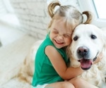 How pandemic puppies changed children’s mental health and family life