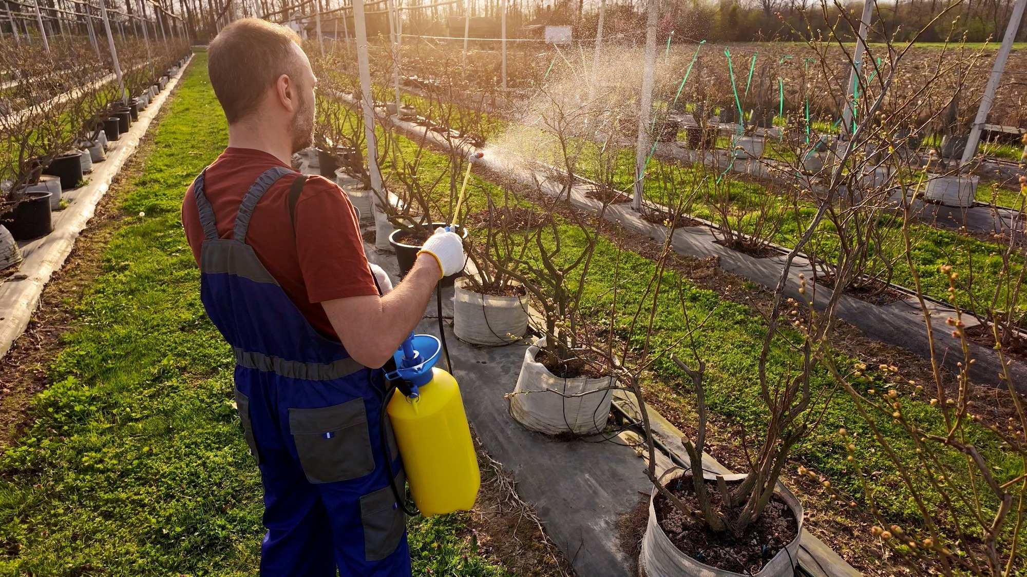Study: Organophosphate Pesticide Exposure and Semen Quality in Healthy Young Men: A Pilot Study. Image Credit: AstroStar / Shutterstock