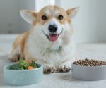 Plant-based dog food cuts environmental impact by over 90% vs. red meat