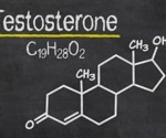 Testosterone fails to influence risk-taking or fairness in men