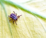 Most Americans risk Lyme disease in their own backyards by skipping simple tick prevention