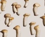 Are mushrooms more than a low-calorie food? New analysis explains their hidden advantages