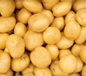 Why potatoes and grains can’t replace each other in a healthy diet