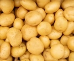 Why potatoes and grains can’t replace each other in a healthy diet
