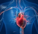 Strong heart health lowers long-term death risk in cancer survivors