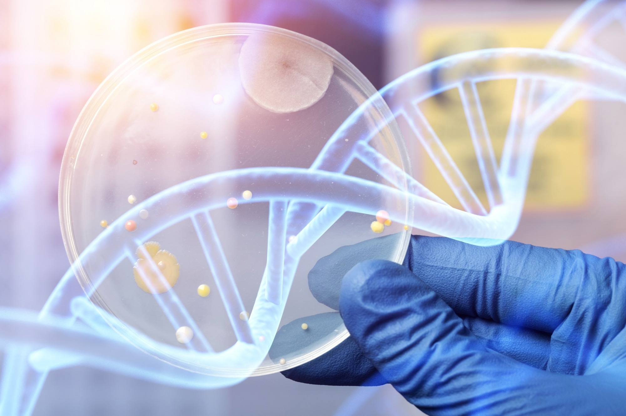 Gloved hand of laboratory worker holding a plastic petri dish with bacterial colonies. DNA double helix structure overlays the image