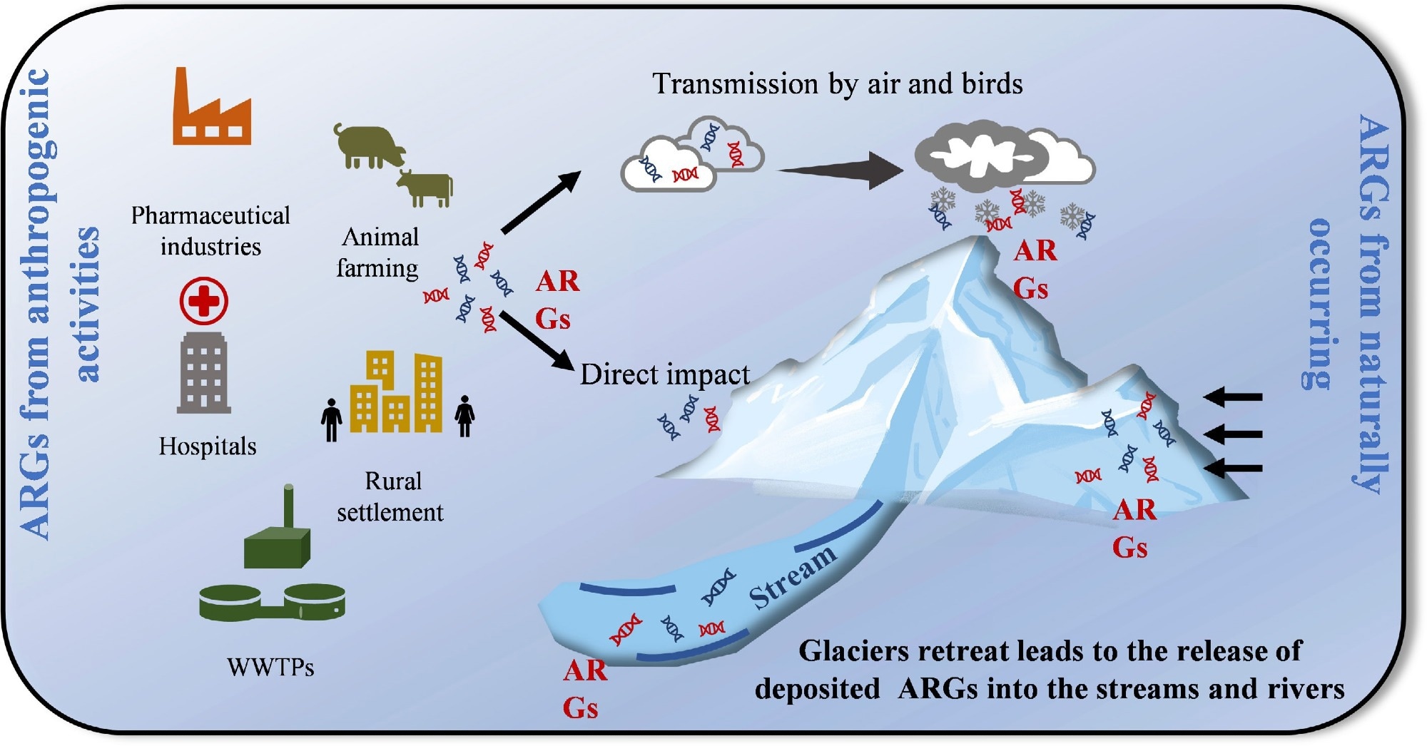 Sources of ARGs in glaciers: natural legacy and anthropogenic inputs.
