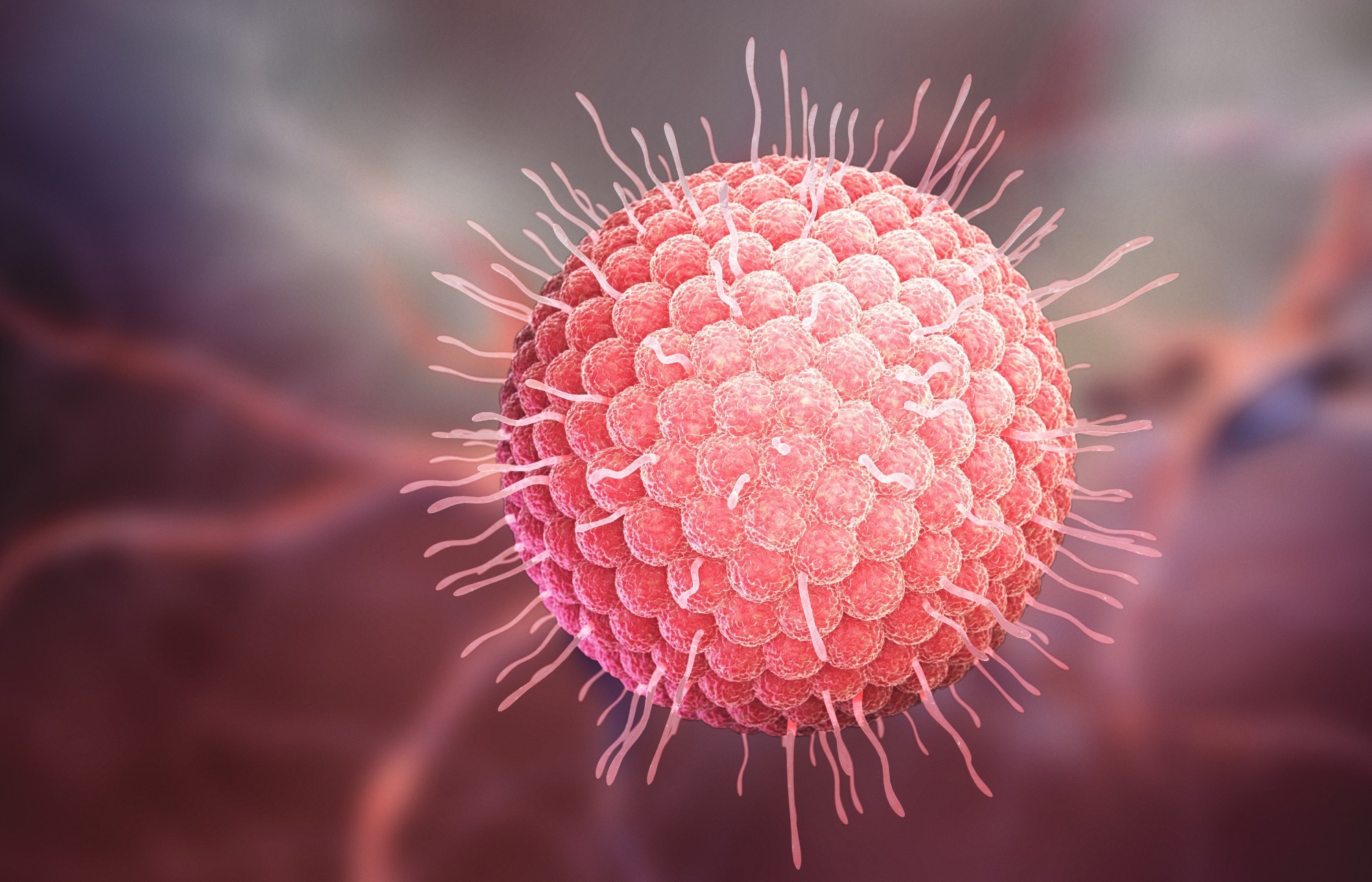 Varicella zoster virus or varicella-zoster virus (VZV) 3D illustration. Image Credit: Tatiana Shepeleva / Shutterstock