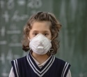 Air pollution, not diet, shows the strongest link to poorer concentration in schoolgirls
