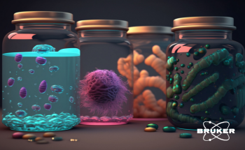 Natural products: the next frontier in drug discovery